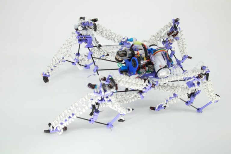 ASU - Muscoli Soft Robotics