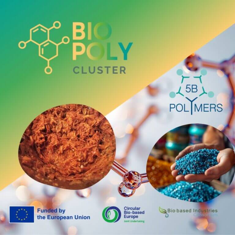 Polymers-5b