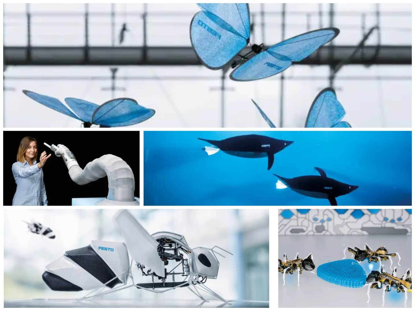 festo bionic learning