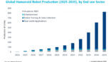 Humanoid Production by End Use Sector